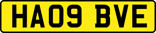 HA09BVE