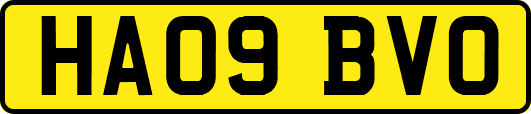HA09BVO