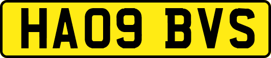HA09BVS