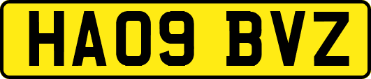 HA09BVZ