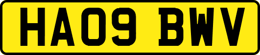HA09BWV