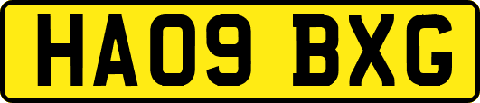 HA09BXG