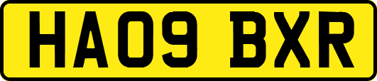 HA09BXR