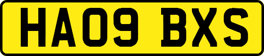HA09BXS