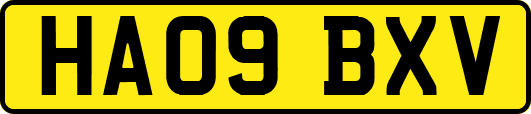HA09BXV