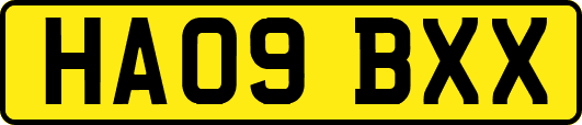 HA09BXX
