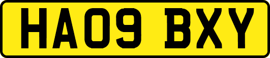 HA09BXY