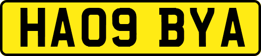 HA09BYA