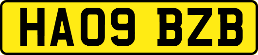 HA09BZB