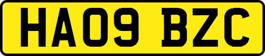 HA09BZC