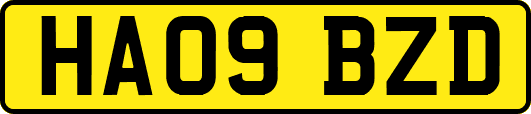HA09BZD