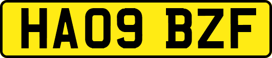 HA09BZF