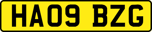 HA09BZG