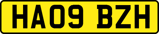 HA09BZH