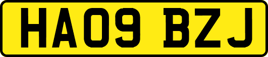 HA09BZJ