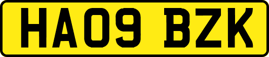 HA09BZK