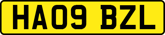 HA09BZL