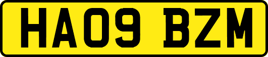 HA09BZM