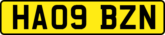 HA09BZN