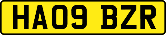 HA09BZR