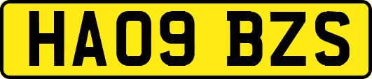 HA09BZS