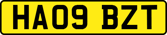 HA09BZT