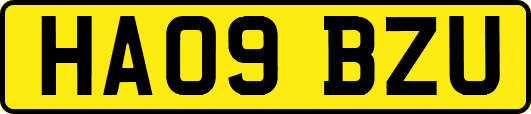 HA09BZU