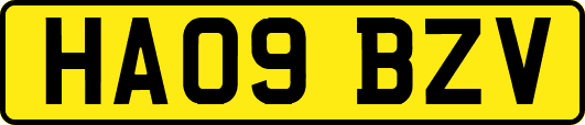HA09BZV