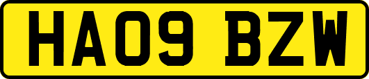 HA09BZW