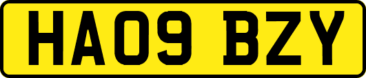 HA09BZY