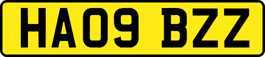 HA09BZZ