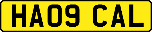 HA09CAL