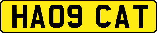 HA09CAT