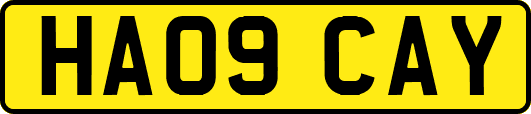 HA09CAY