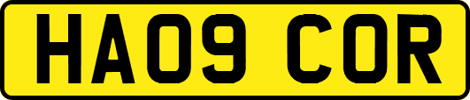HA09COR