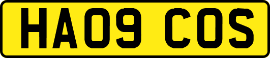 HA09COS