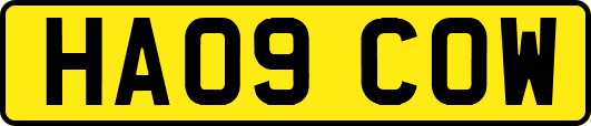 HA09COW