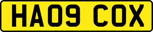 HA09COX