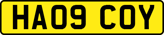 HA09COY