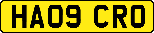 HA09CRO