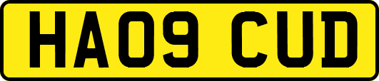 HA09CUD