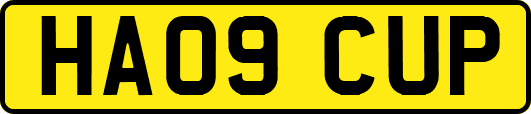 HA09CUP