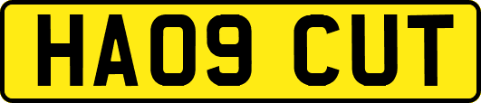 HA09CUT