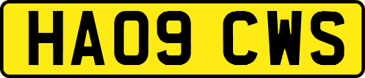 HA09CWS