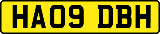 HA09DBH