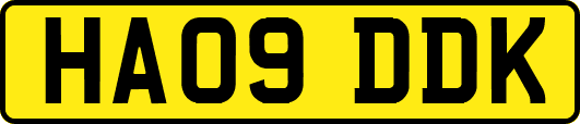 HA09DDK