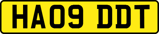 HA09DDT