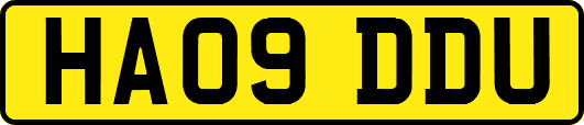 HA09DDU