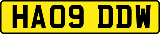 HA09DDW