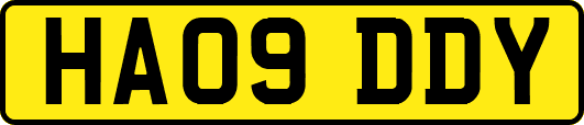 HA09DDY